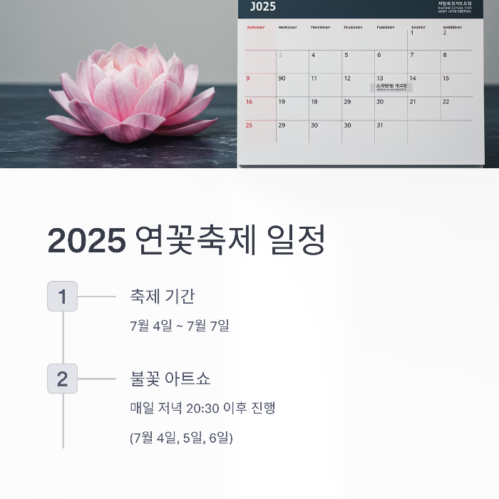 부여 연꽃축제 야간