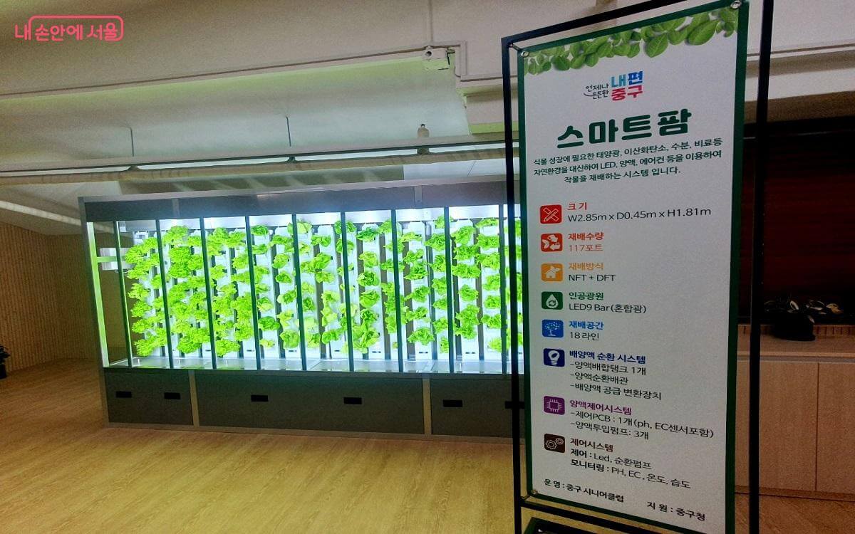 스마트팜