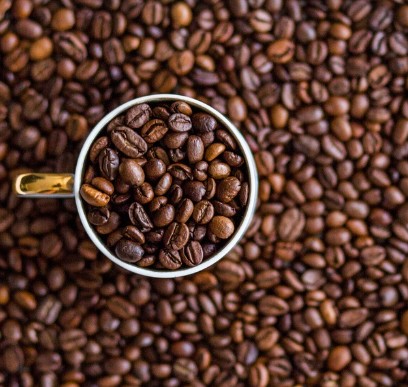 카누 커피머신 고객센터 전화번호, AS 신청 및 머신 캡슐 유지보수 완벽 가이드