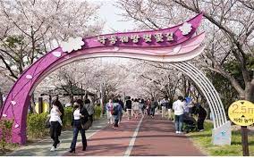 새롭게 봄 신나게 봄 낙동강 정원 벚꽃 축제 기본일정과 프로그램 소개 삼락 벚꽃 축제