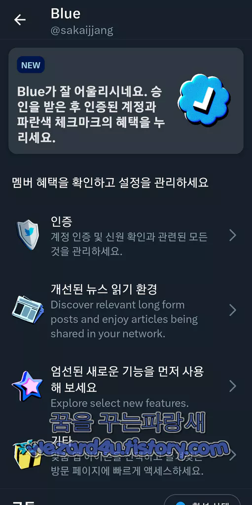 트위터 블루 구독 정보
