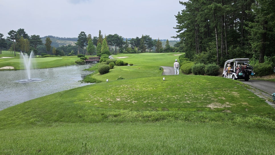 골프장 경험담 여주 세라지오CC 자연 속에서 즐기는 프리미엄 퍼블릭 골프장의 품격