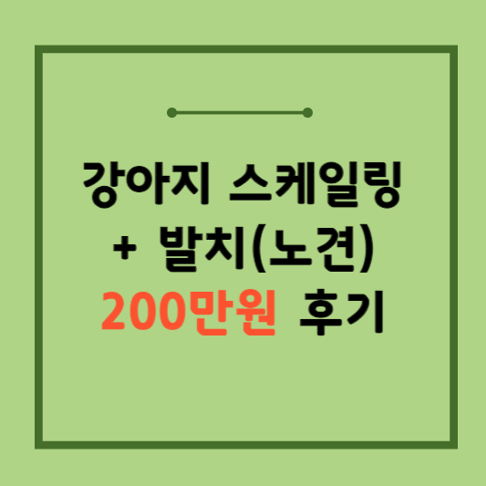 강아지-스케일링