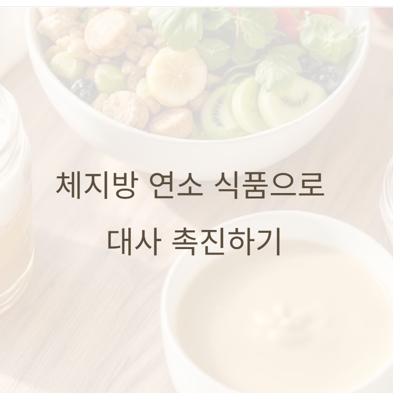 체지방 연소 식품: 대사 촉진을 통해 체중 감량을 도와보세요!