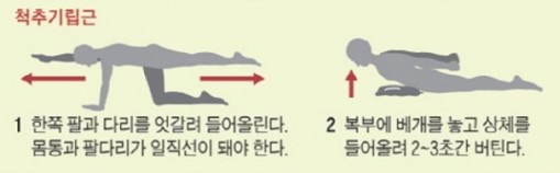거북목 교정 운동 - 거북목 치료에 도움이 되는 등 근육 강화 운동