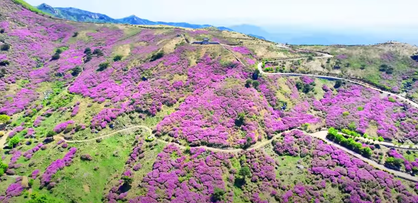 산청군황매산등산코스-1코스