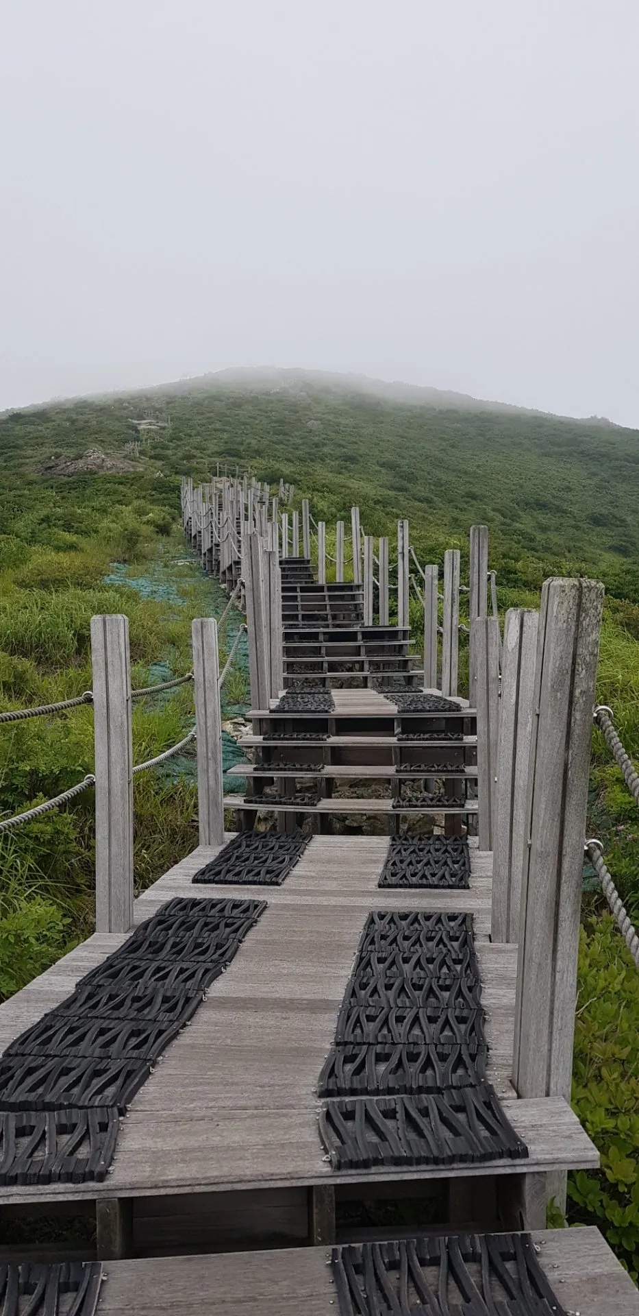 울산 신불산 억새평원