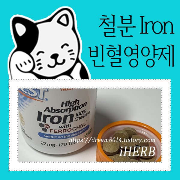 아이허브_철분_빈혈영양제