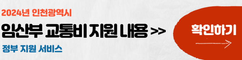 임산부 교통비 지원금