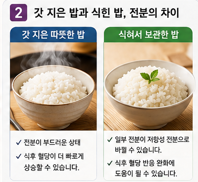 갓 지은 밥과 식힌 밥, 전분은 어떻게 달라질까?
