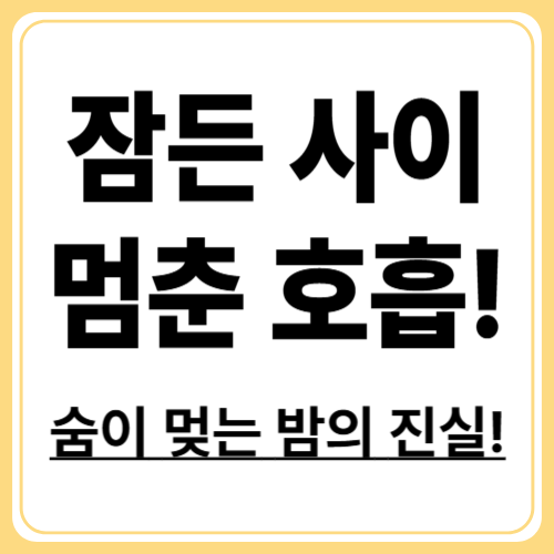 수면 무호흡증 원인! 비만과 음주의 영향 분석
