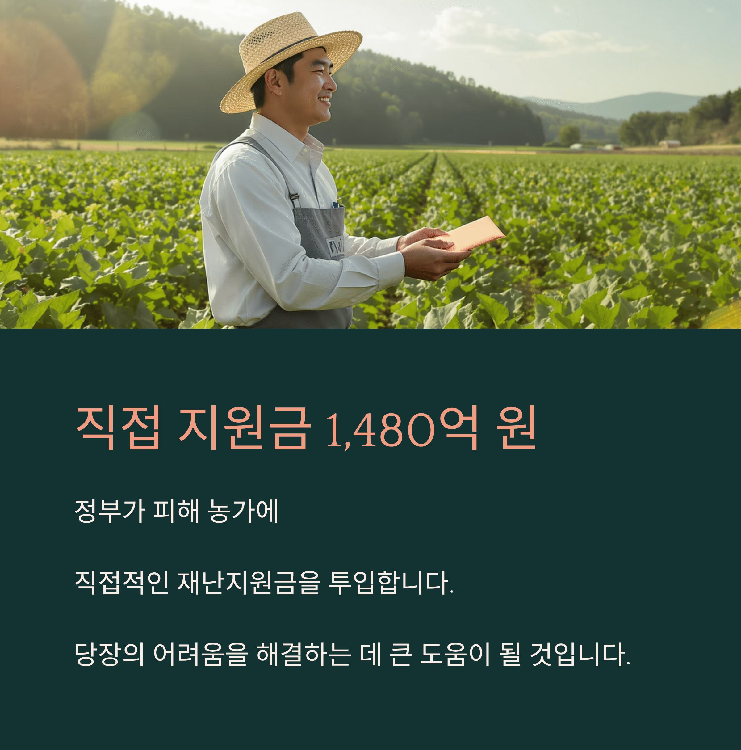 "폭우 피해" 농민들에게 전해진 희망의 소식! 정부 지원금