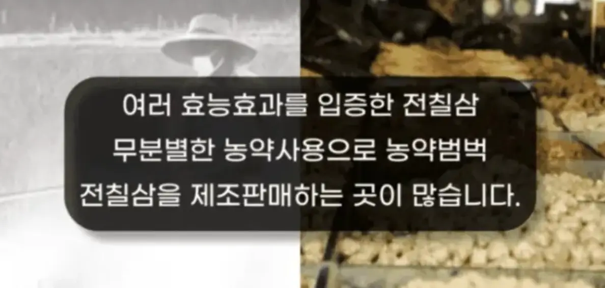 간에좋음식