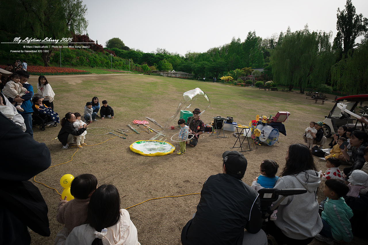 #봄 #꽃 #튤립 #아산 #피나클랜드