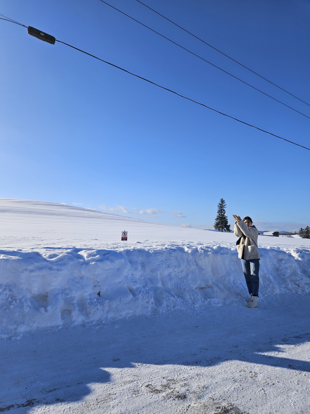 비에이-투어-크리스마스트리-풍경-나의-모습