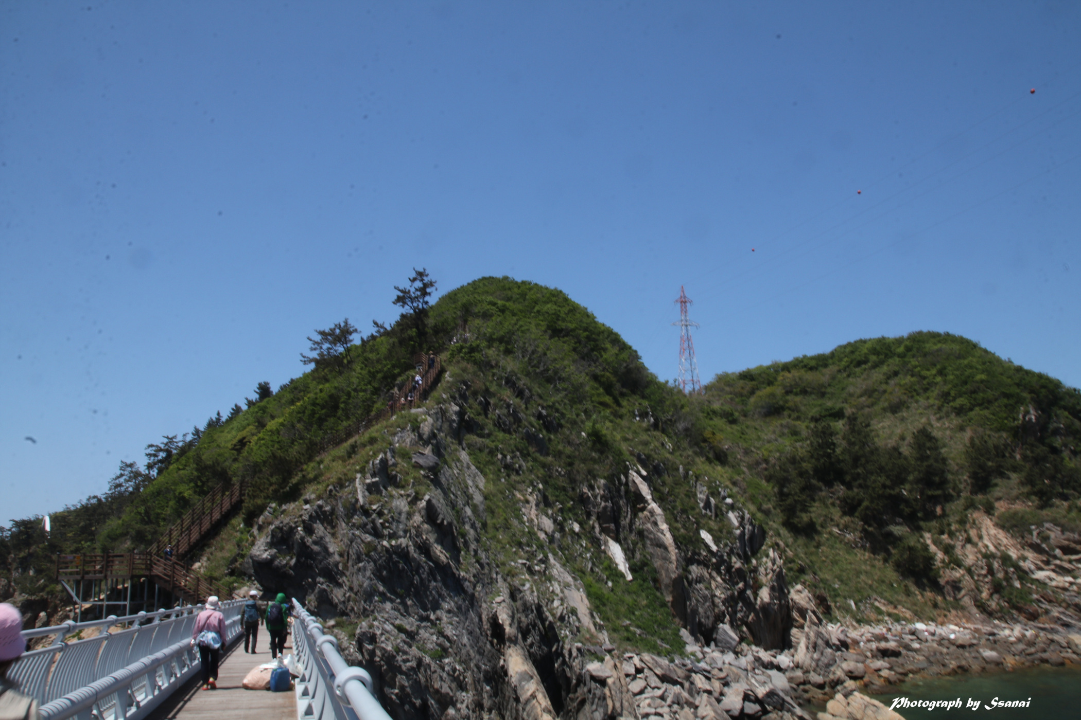 보농도