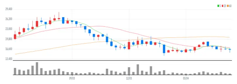 지어소프트 주봉