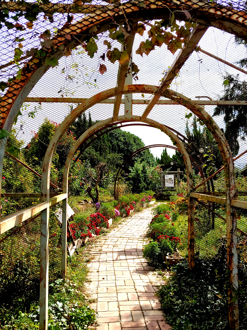 특색있고 아름다운 민간 정원 30선 추천 여행 - 30. 구례 천개의 향나무숲 정원