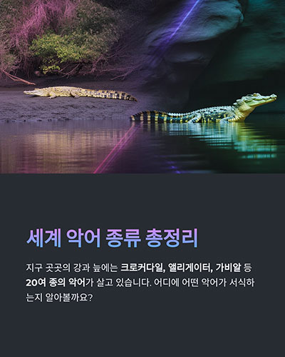 세계 악어 종류 총정리, 어디에 어떤 악어가 서식할까?