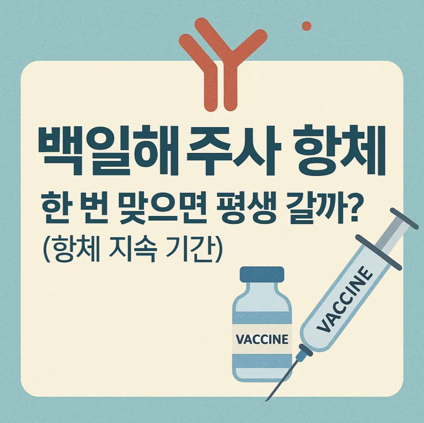 백일해주사 항체, 한 번 맞으면 평생 갈까? (항체 지속 기간)