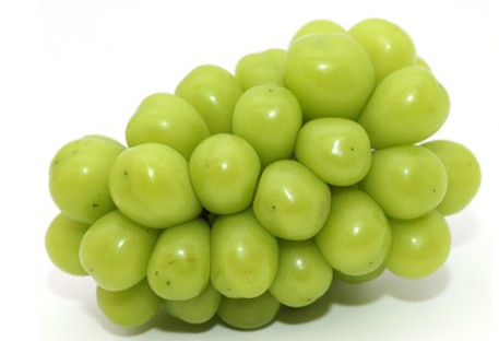 포도의 종류 - 샤인머스켓 특징, 보관법
