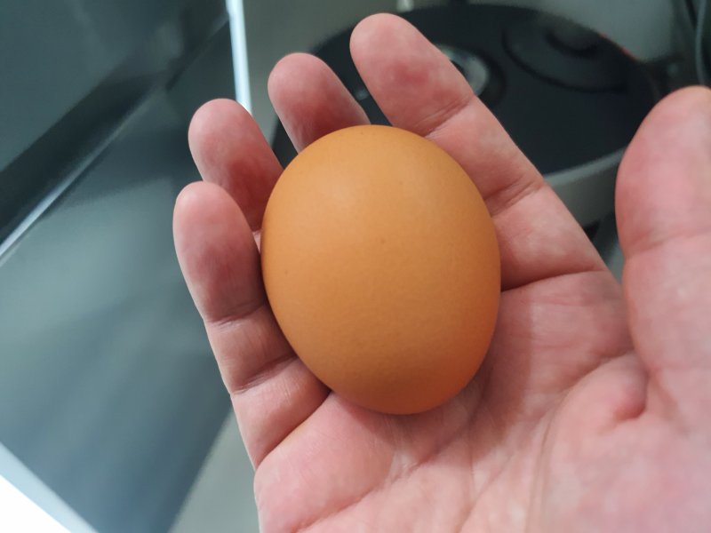 손에-쥐어있는-달걀-한개