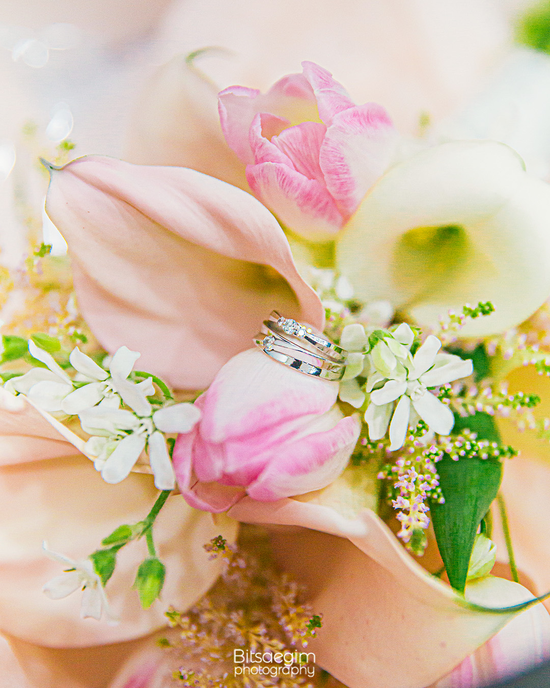 수원 디에스컨벤션 본식스냅 추천 1