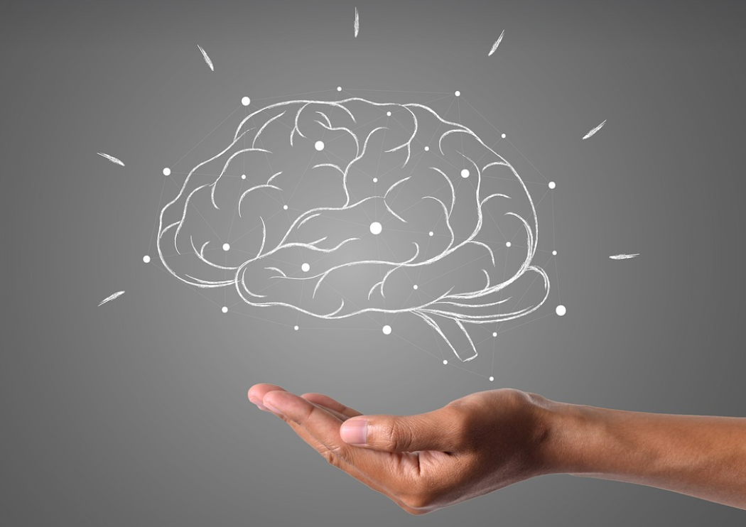 뇌의 비밀: 인간의 창의성과 기억의 기원