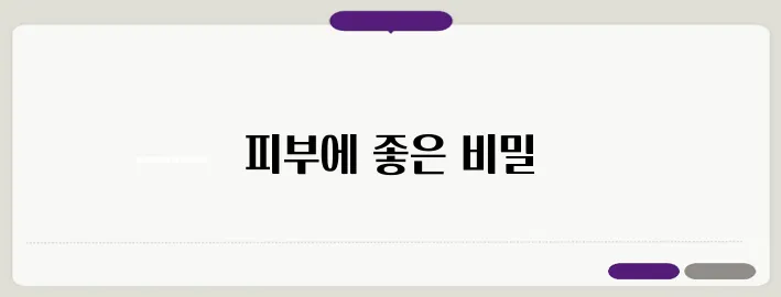 콜라겐 효능 이보다 자세히 설명할순없다