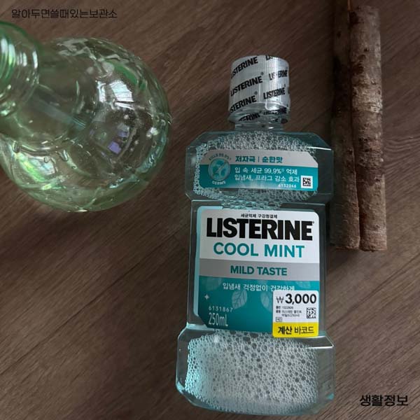 초파리 날파리 제거방법 다이소 리스테린 초파리싹