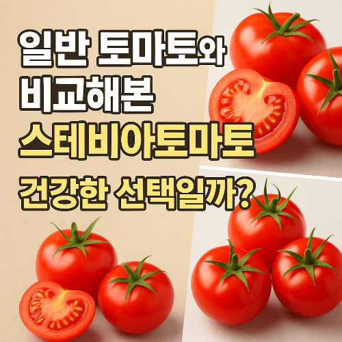 일반 토마토와 비교해본 스테비아토마토, 건강한 선택일까?
