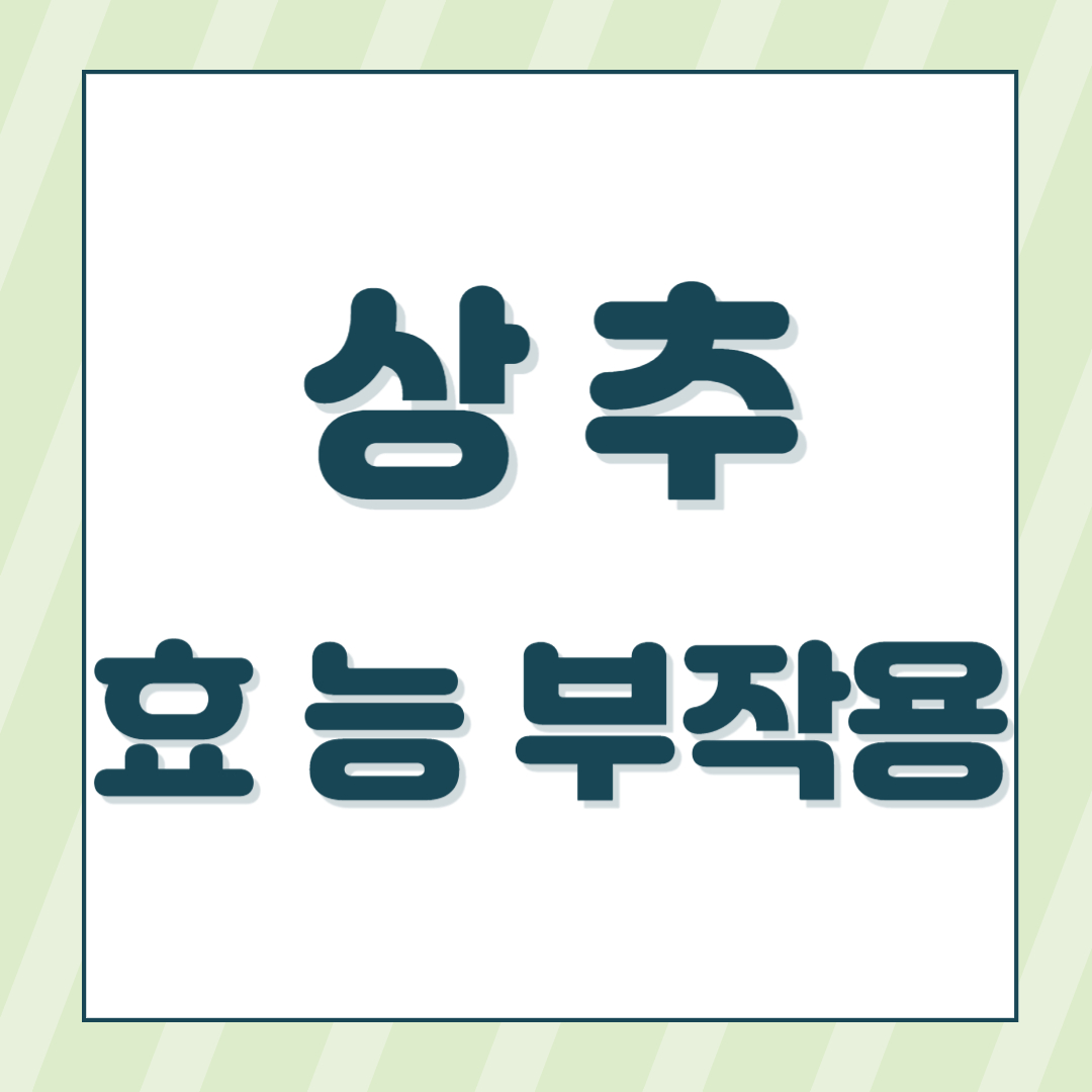 상추효능