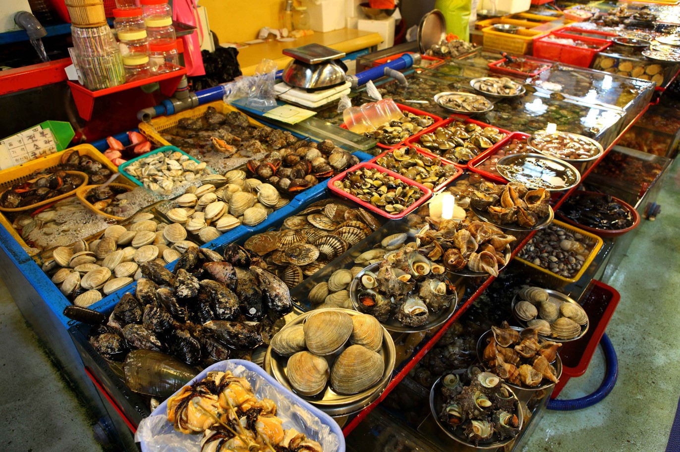 자갈치시장의-해산물들