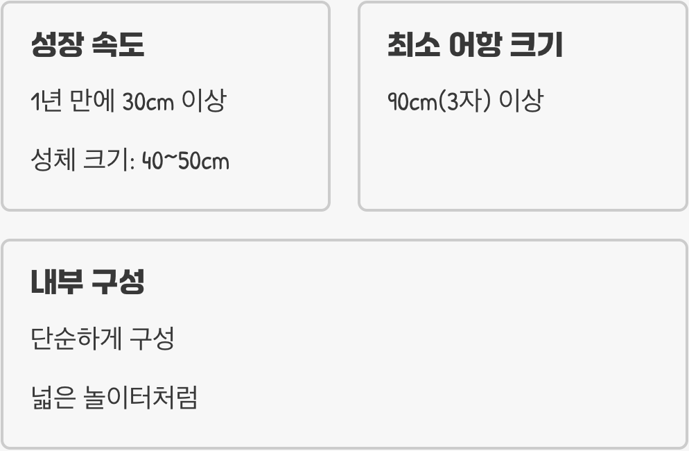 어항 - '나만의 왕국'을 선물하세요