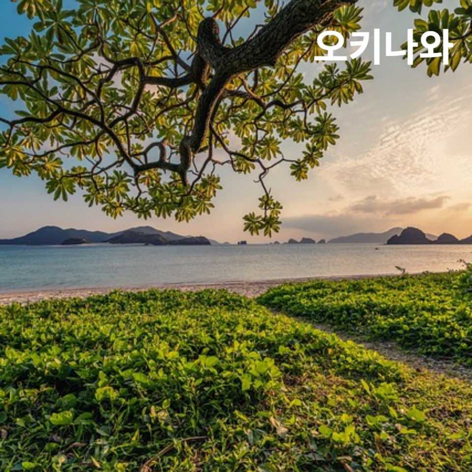 9월아기해외여행