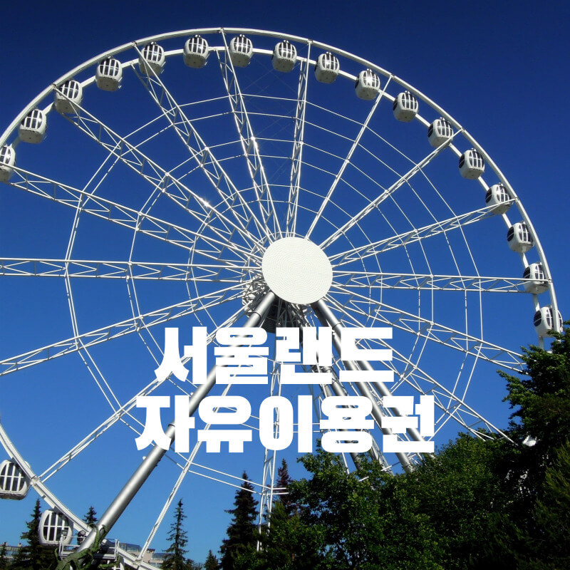 서울랜드 자유이용권