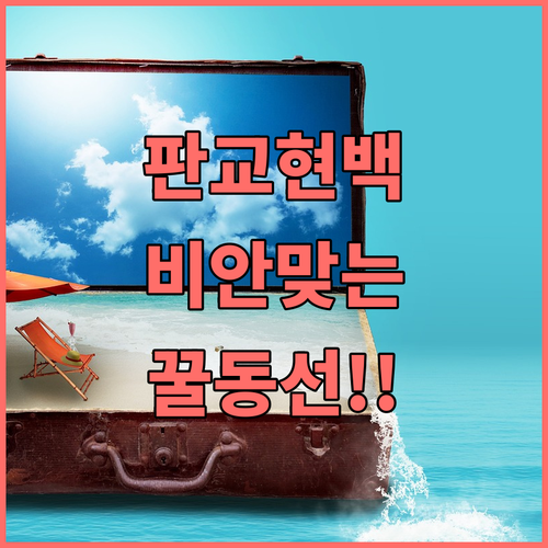 판교 현대백화점 알파돔광장 비 안 맞..