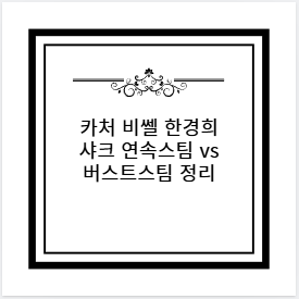 카처 비쎌 한경희 샤크 연속스팀 vs 버스트스팀 정리