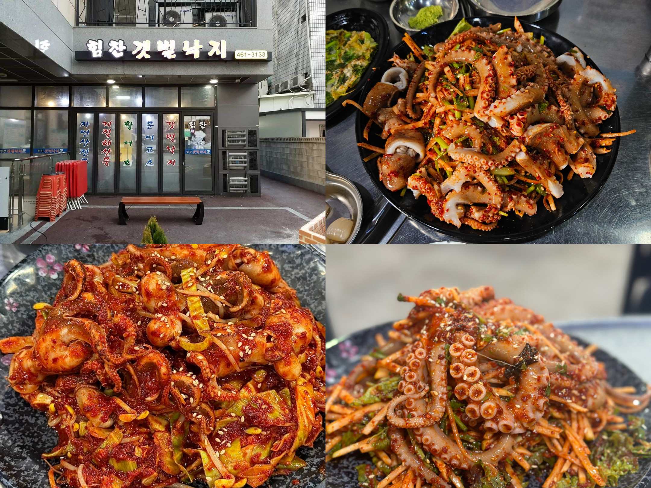 힘찬갯벌낙지