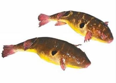황복