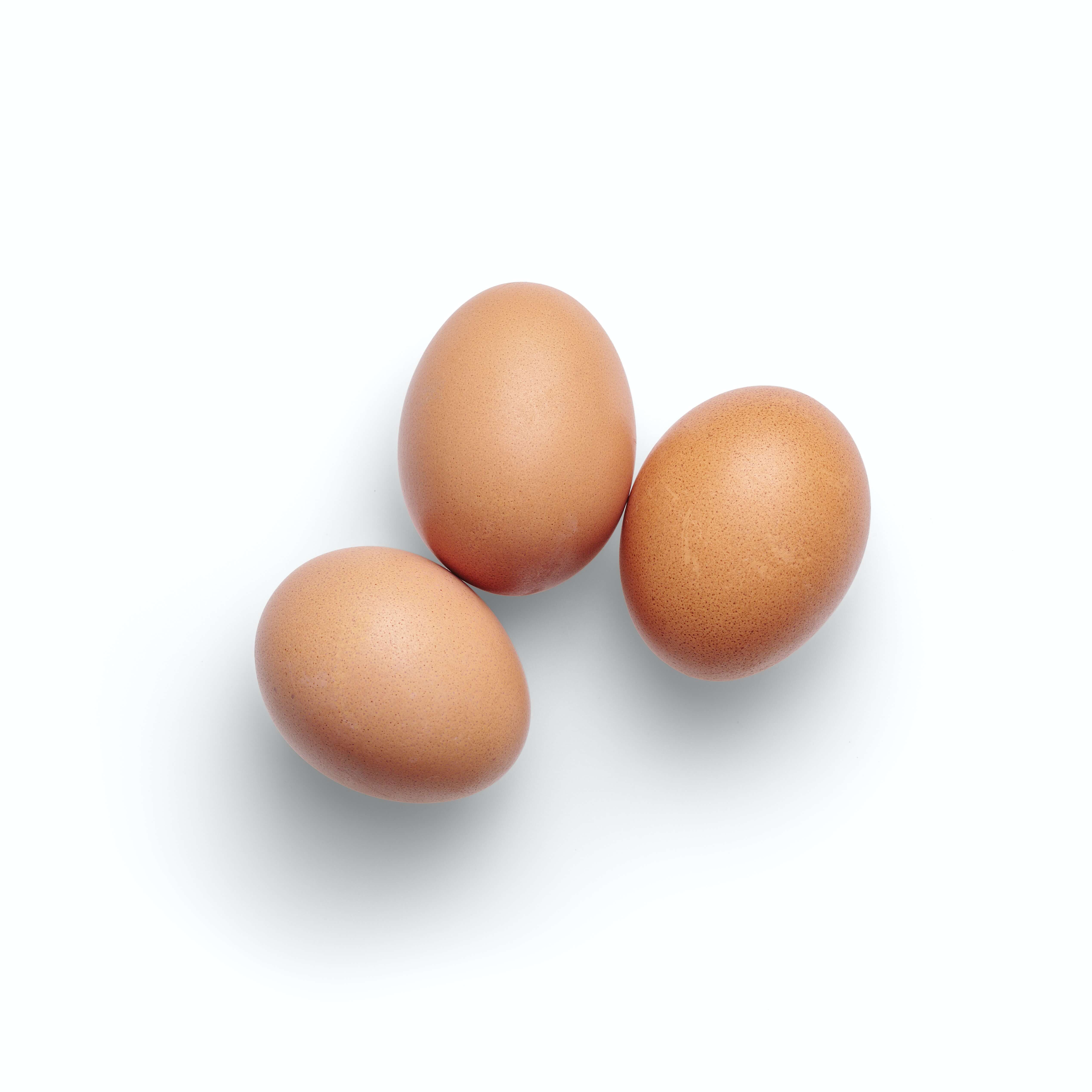 egg-image