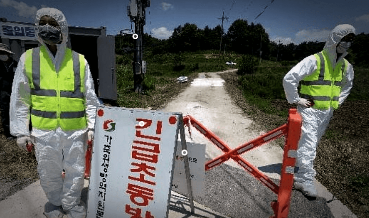 조류인플루엔자