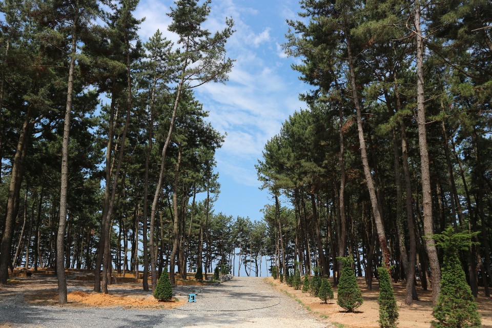 충남 서천 장항오토캠핑장 소개