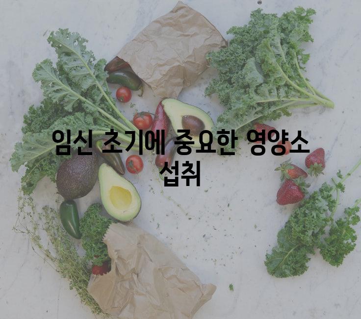 임신 초기에 중요한 영양소 섭취