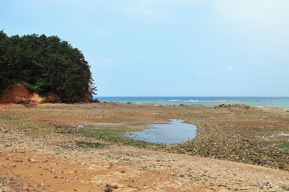 태안군 어은돌 송림캠핑장 소개