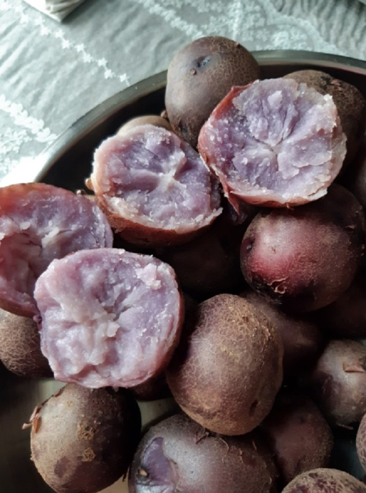 6시내고향-자색고구마-무안