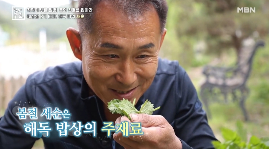 봄나물이미지