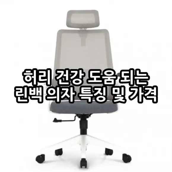 린백 LB221HA 사무용 의자