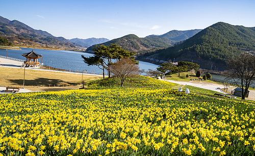 3월 국내 여행지 추천
