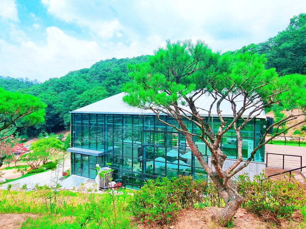 경기도 시흥 산골수목원: 연분홍 수국이 있는 식물원 카페